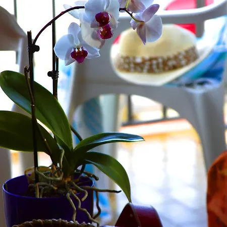 Ar Family Vintage Apartment Lloret de Mar